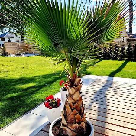 Apartament Amelia2